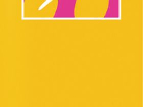 Набор полнопрофильных крыльев с подсветкой Topeak DeFender iGlow X TIG-DF02 (черный / красный)