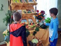 Пристенская детская библиотека