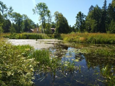 Пруд "Подкова"