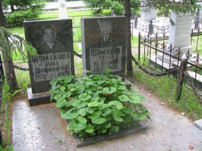 Могила Героя Социалистического Труда, партийного и советского работника  Тихона Петровича Шумакова