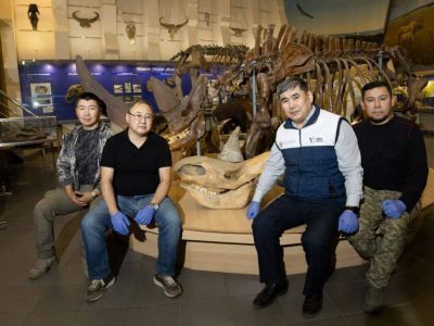 Останки древнего шерстистого носорога с мягкими тканями обнаружили в Якутии