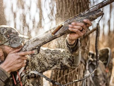 Трое охотников из Сунтарского улуса заплатят полмиллиона рублей за убийство медведя