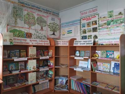 Верхнеяушевская сельская модельная библиотека