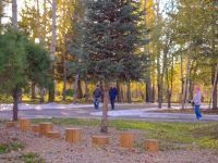 Озеро-парк «Октябрьский» г. Красноярска