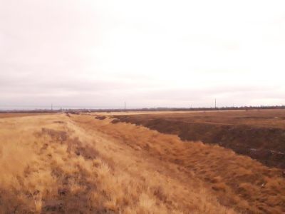 Первая конно-бычья железная дорога (Дубовско-Качалинская)