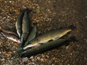 Рыбалка на реках Алдан, Томпо, Хандыга, Барайы, Тукулан, Келя, Тумара