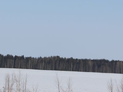 Священная роща