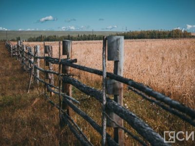 40 миллионов рублей направят пострадавшим от паводка аграриям за потерю крупного рогатого скота