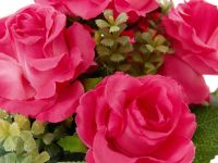 Цветок в горшке Rose Lee