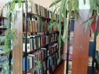 Токтарсолинская библиотека