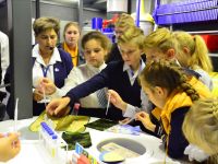 Информационно-выставочный зал завода «Пигмент»