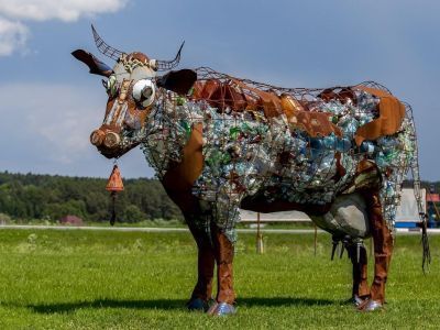 Художественный музей мусора «Му-му»