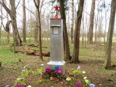 Братское захоронение воинов Красной Армии и мирных жителей, погибших в 1919 г.
