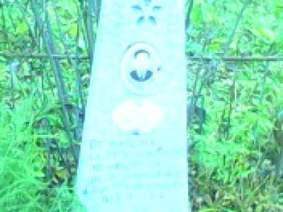 Одиночная могила партизана Рогова А.П., убитого белыми