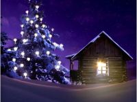 Комплект наклеек Krutoff «Новый год 2025 - Природа» 4 шт