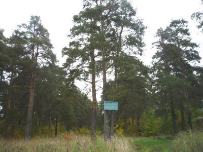 Памятное место революционных выступлений "Лисья горка"