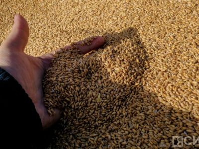 Более 52 тысяч гектаров засеют в Якутии в 2026 году