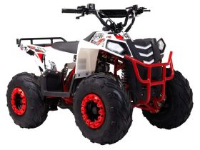 Квадроцикл WELS Thunder Evo M детский