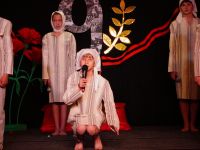 Владимирский сельский дом культуры