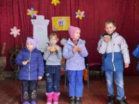 Никольский сельский дом культуры