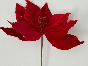Цветок Праздничные цветы/Fiori di festa, красный