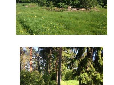 Усадьба И. Я. Упенека