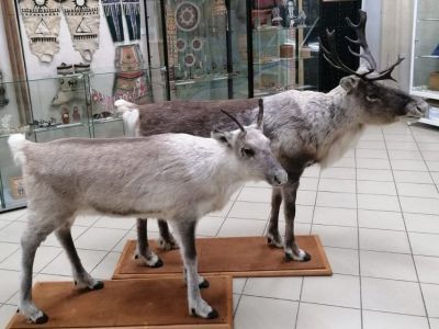 Алданский музей приобрел новые экспонаты