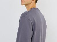 Свитшот, Серый