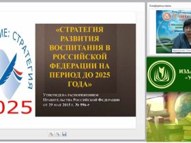 Вебинар "Планирование и организация воспитательного процесса в соответствии со «Стратегией развития воспитания в Российской Федерации на период до 2025 года»"