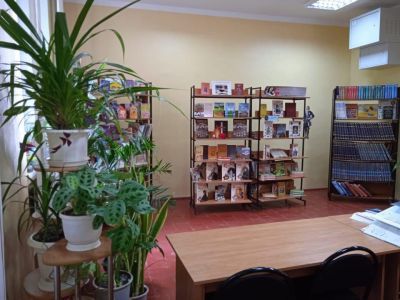 Солнечная сельская библиотека