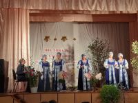 Салтыковский сельский дом культуры