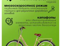 Женский велосипед Stels Legenda 370 VC 28, год 2025, цвет Коричневый, ростовка 20