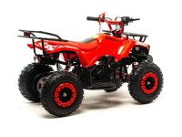 Квадроцикл MOTOLAND 50 Scorpion (2021 Г.)