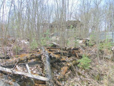 Главный дом