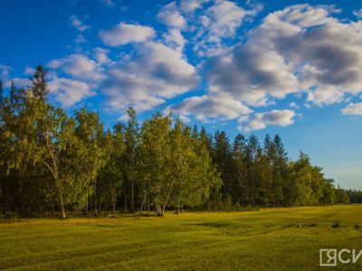 В Николин день в Якутском музее отметят День сайылыка