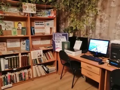 Большешиинская сельская библиотека – филиал № 49