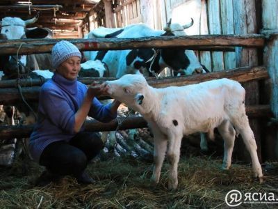 Путин подписал закон о сокращенном рабочем дне для женщин в селах