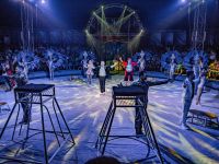 Севастопольский государственный цирк