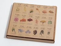 Набор пастели сухая, мягкая ручной работы EARTHBERRY "Светлый путь", 18 цветов