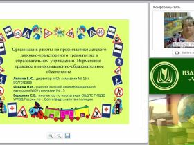 Организация работы по профилактике детского дорожно-транспортного травматизма (в условиях реализации ФГОС)