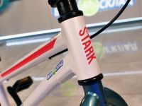 Экстремальный велосипед Stark Madness BMX Race, год 2024, цвет Серый-Красный, ростовка 9