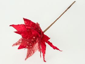 Цветок Poinsettia II