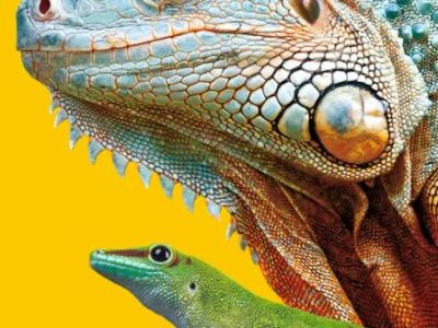 Зоотеатр рептилий