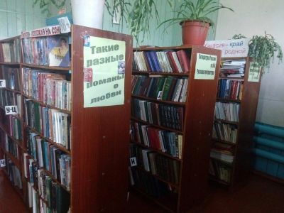 Библиотека деревни Нижний Имек