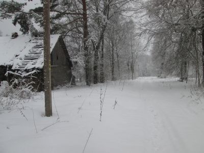 Родина советского государственного деятеля К.Д. Памфилова