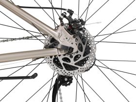 Женский велосипед Foxx Bianka 29, год 2026, цвет Розовый, ростовка 19