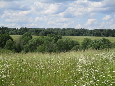 Памятное место, где находилась усадьба Шаево, в которой жил поэт-декабрист Павел Александрович Катенин