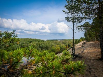 Режим ЧС в лесах межрегионального характера отменили в Якутии и Хабаровском крае