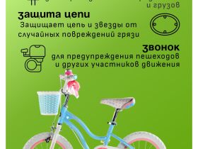 Детский велосипед Royal Baby Stargirl 12, год 2024, цвет Голубой