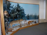 Музей истории и этнографии г. Югорска